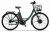 Ecoride Ambassador Gen3 H-7 28 grön 2026